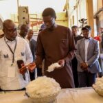 Vélingara : la filière coton au cœur des enjeux de développement rural