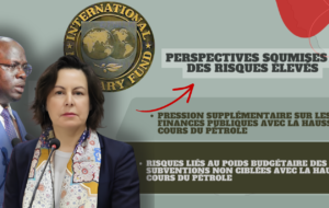 Conjoncture économique : Entre résilience pétrolière et risques accrus, le diagnostic sans fard du FMI sur le Sénégal